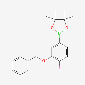 molecular formula C19H22BFO3 B6319349 3-(苯甲氧基)-4-氟苯硼酸二环乙二醇酯 CAS No. 2121515-23-7