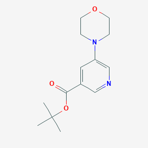 molecular formula C14H20N2O3 B6320282 5-Morpholin-4-yl-nicotinic acid tert-butyl ester CAS No. 263270-04-8