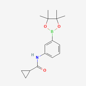molecular formula C16H22BNO3 B6320772 N-[3-(Tetramethyl-1,3,2-dioxaborolan-2-yl)phenyl]cyclopropanecarboxamide CAS No. 1031747-40-6