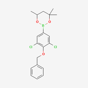 2-(4-Benzyloxy-3,5-dichlorophenyl)-4,4,6-trimethyl-1,3,2-dioxaborinane