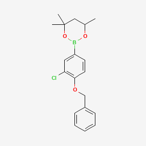 molecular formula C19H22BClO3 B6321006 2-(4-Benzyloxy-3-chlorophenyl)-4,4,6-trimethyl-1,3,2-dioxaborinane CAS No. 2096995-55-8