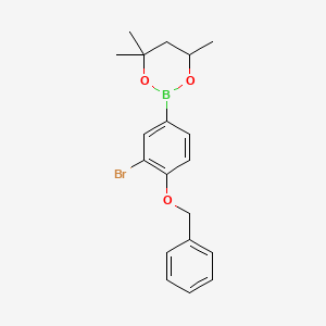 molecular formula C19H22BBrO3 B6321013 2-(4-Benzyloxy-3-bromophenyl)-4,4,6-trimethyl-1,3,2-dioxaborinane CAS No. 2096995-43-4