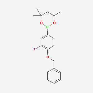 molecular formula C19H22BFO3 B6321021 2-(4-Benzyloxy-3-fluorophenyl)-4,4,6-trimethyl-1,3,2-dioxaborinane CAS No. 2096995-92-3