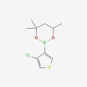 molecular formula C10H14BClO2S B6321058 2-(4-Chloro-3-thienyl)-4,4,6-trimethyl-1,3,2-dioxaborinane CAS No. 2096997-84-9