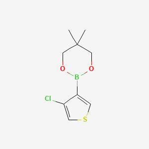 molecular formula C9H12BClO2S B6321067 2-(4-Chloro-3-thienyl)-5,5-dimethyl-1,3,2-dioxaborinane CAS No. 2096995-10-5