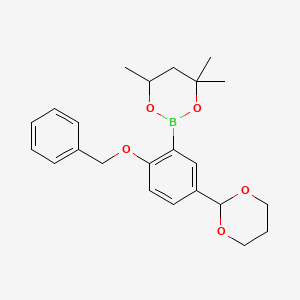 molecular formula C23H29BO5 B6321095 2-[2-Benzyloxy-5-(1,3-dioxan-2-yl)phenyl]-4,4,6-trimethyl-1,3,2-dioxaborinane CAS No. 2096995-63-8