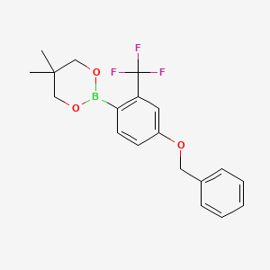 molecular formula C19H20BF3O3 B6321107 2-[4-Benzyloxy-2-(trifluoromethyl)phenyl]-5,5-dimethyl-1,3,2-dioxaborinane CAS No. 2096997-62-3