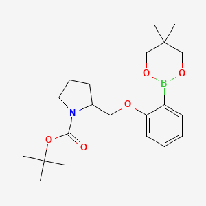 tert-Butyl 2-{[2-(5,5-dimethyl-1,3,2-dioxaborinan-2-yl)phenoxy]methyl}pyrrolidine-1-carboxylate