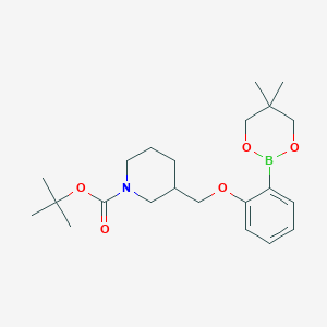 tert-Butyl 3-{[2-(5,5-dimethyl-1,3,2-dioxaborinan-2-yl)phenoxy]methyl}piperidine-1-carboxylate