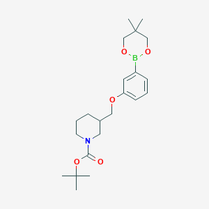 tert-Butyl 3-{[3-(5,5-dimethyl-1,3,2-dioxaborinan-2-yl)phenoxy]methyl}piperidine-1-carboxylate