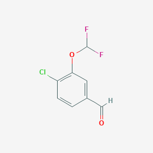 molecular formula C8H5ClF2O2 B6322225 4-chloro-3-(difluoromethoxy)benzaldehyde CAS No. 2364584-99-4