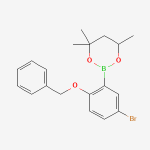 molecular formula C19H22BBrO3 B6323581 2-(2-Benzyloxy-5-bromophenyl)-4,4,6-trimethyl-1,3,2-dioxaborinane CAS No. 2096995-26-3