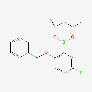 molecular formula C19H22BClO3 B6323584 2-(2-Benzyloxy-5-chlorophenyl)-4,4,6-trimethyl-1,3,2-dioxaborinane CAS No. 2096996-65-3