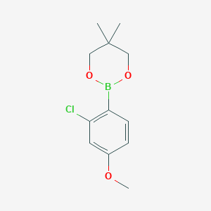 molecular formula C12H16BClO3 B6323596 2-(2-Chloro-4-methoxyphenyl)-5,5-dimethyl-1,3,2-dioxaborinane CAS No. 2096997-31-6