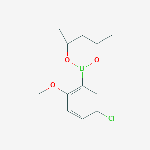 molecular formula C13H18BClO3 B6323658 2-(5-Chloro-2-methoxyphenyl)-4,4,6-trimethyl-1,3,2-dioxaborinane CAS No. 2096998-54-6