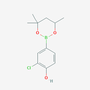 2-Chloro-4-(4,4,6-trimethyl-1,3,2-dioxaborinan-2-yl)phenol