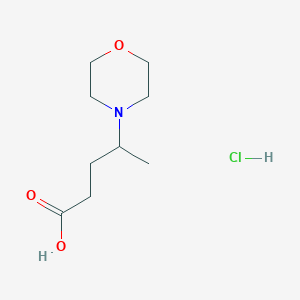 4-Morpholin-4-ylpentanoic acid hydrochloride