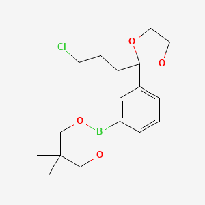 molecular formula C17H24BClO4 B6324048 2-{3-[2-(3-Chloropropyl)-1,3-dioxolan-2-yl]phenyl}-5,5-dimethyl-1,3,2-dioxaborinane CAS No. 2096996-03-9