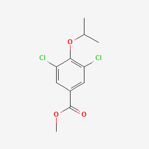 molecular formula C11H12Cl2O3 B6324862 3,5-二氯-4-异丙氧基苯甲酸甲酯 CAS No. 856165-88-3