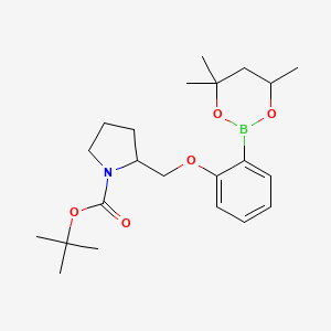 molecular formula C22H34BNO5 B6327834 tert-Butyl 2-{[2-(4,4,6-trimethyl-1,3,2-dioxaborinan-2-yl)phenoxy]methyl}pyrrolidine-1-carboxylate CAS No. 2096998-61-5