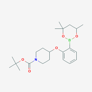 tert-Butyl 4-[2-(4,4,6-trimethyl-1,3,2-dioxaborinan-2-yl)phenoxy]piperidine-1-carboxylate;  97%