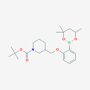 molecular formula C23H36BNO5 B6327842 tert-Butyl 3{[2-(4,4,6-trimethyl-1,3,2-dioxaborinan-2-yl)phenoxy]methyl}piperidine-1-carboxylate CAS No. 2096996-28-8