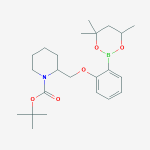 molecular formula C23H36BNO5 B6327849 tert-Butyl 2{[2-(4,4,6-trimethyl-1,3,2-dioxaborinan-2-yl)phenoxy]methyl}piperidine-1-carboxylate CAS No. 2096996-33-5