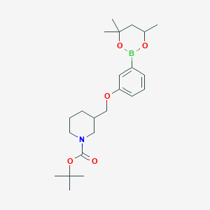 molecular formula C23H36BNO5 B6327856 tert-Butyl 3{[3-(4,4,6-trimethyl-1,3,2-dioxaborinan-2-yl)phenoxy]methyl}piperidine-1-carboxylate CAS No. 2096998-52-4