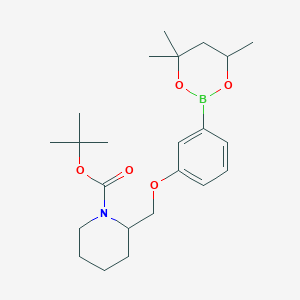 molecular formula C23H36BNO5 B6327868 tert-Butyl 2{[3-(4,4,6-trimethyl-1,3,2-dioxaborinan-2-yl)phenoxy]methyl}piperidine-1-carboxylate CAS No. 2096996-52-8