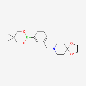 molecular formula C19H28BNO4 B6327960 8-[3-(5,5-Dimethyl-1,3,2-dioxaborinan-2-yl)benzyl]-1,4-dioxa-8-azaspiro[4.5]decane CAS No. 2096995-12-7