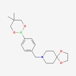 molecular formula C19H28BNO4 B6327970 8-[4-(5,5-Dimethyl-1,3,2-dioxaborinan-2-yl)benzyl]-1,4-dioxa-8-azaspiro[4.5]decane CAS No. 2096997-35-0