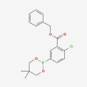molecular formula C19H20BClO4 B6328086 Benzyl 2-chloro-5-(5,5-dimethyl-1,3,2-dioxaborinan-2-yl)benzoate CAS No. 2096994-72-6