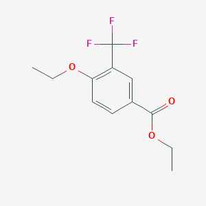 molecular formula C12H13F3O3 B6332007 Ethyl 4-ethoxy-3-(trifluoromethyl)benzoate CAS No. 864178-58-5