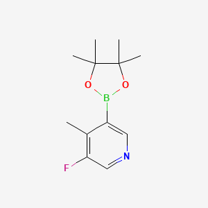 molecular formula C12H17BFNO2 B6334032 5-Fluoro-4-picoline-3-boronic acid pinacol ester CAS No. 1356483-70-9