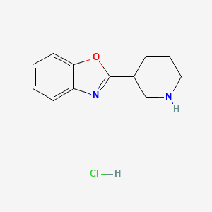 2-Piperidin-3-yl-1,3-benzoxazole hydrochloride