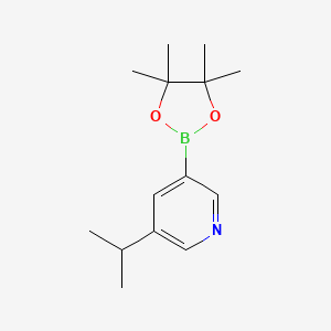 molecular formula C14H22BNO2 B6335517 5-Isopropylpyridine-3-boronic acid pinacol ester CAS No. 2096336-91-1