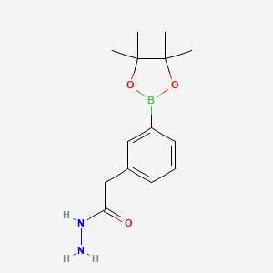 molecular formula C14H21BN2O3 B6335685 3-(2-Hydrazinyl-2-oxoethyl)phenylboronic acid, pinacol ester CAS No. 2096335-03-2