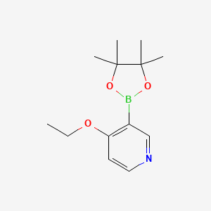 molecular formula C13H20BNO3 B6336169 4-Ethoxypyridine-3-boronic acid pinacol ester CAS No. 2096331-51-8