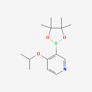molecular formula C14H22BNO3 B6336177 4-Isopropoxypyridine-3-boronic acid pinacol ester CAS No. 2096335-77-0