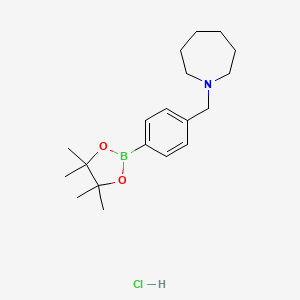 (4-(Homopiperidine)methyl)phenylboronic acid pinacol ester hydrochloride