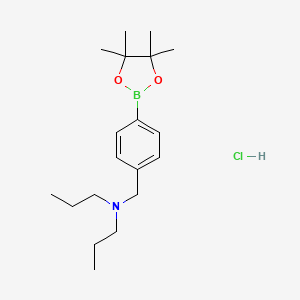 4-((Di-N-propylamino)methyl)phenylboronic acid pinacol ester hydrochloride