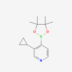 molecular formula C14H20BNO2 B6337761 3-(Cyclopropyl)pyridine-4-boronic acid pinacol ester CAS No. 2096333-32-1