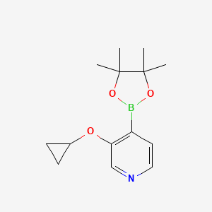 molecular formula C14H20BNO3 B6337763 3-(Cyclopropoxy)pyridine-4-boronic acid pinacol ester CAS No. 2096330-45-7