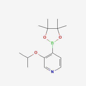 molecular formula C14H22BNO3 B6337783 3-(Isopropoxy)pyridine-4-boronic acid pinacol ester CAS No. 2096338-70-2