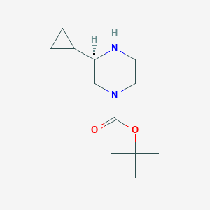 molecular formula C12H22N2O2 B6337899 1-Boc-(R)-3-环丙基哌嗪 CAS No. 1240587-11-4