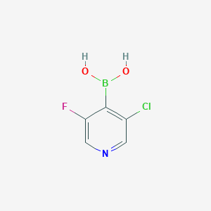 molecular formula C5H4BClFNO2 B6337982 3-氯-5-氟吡啶-4-硼酸 CAS No. 1444025-19-7