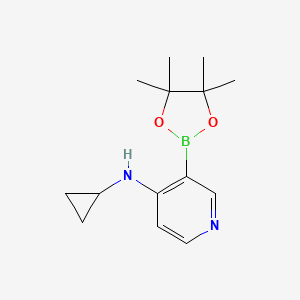molecular formula C14H21BN2O2 B6338122 4-(Cyclopropylamino)pyridine-3-boronic acid pinacol ester CAS No. 2096333-40-1