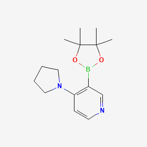 molecular formula C15H23BN2O2 B6338128 4-(Pyrrolidin-1-yl)pyridine-3-boronic acid pinacol ester CAS No. 2096337-93-6