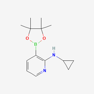 molecular formula C14H21BN2O2 B6338212 2-(Cyclopropylamino)pyridine-3-boronic acid pinacol ester CAS No. 2096331-07-4