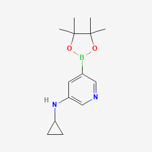 5-(Cyclopropylamino)pyridine-3-boronic acid pinacol ester